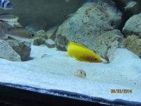 IMG_1107.jpg, 28kB